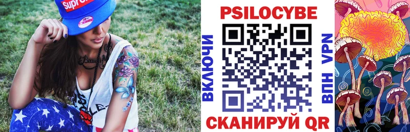 Псилоцибиновые грибы GOLDEN TEACHER Данков